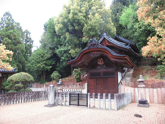 �������q��_��