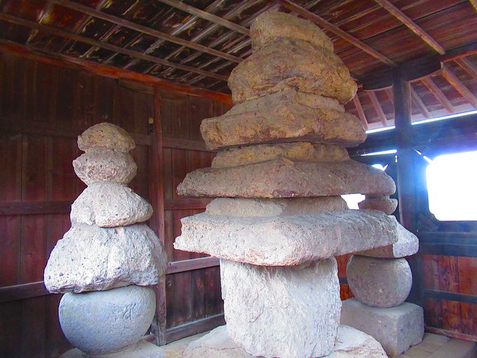 ���킹�ĎQ�q���I�����@�E�O�����_��