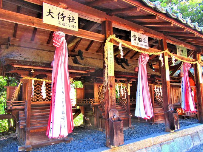{aȊǑ