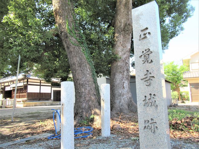正覚寺城跡としての旭神社