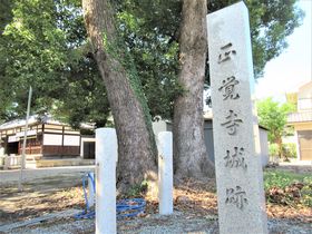 戦国の幕開け！「正覚寺合戦」の地をめぐる大阪市平野区の旅