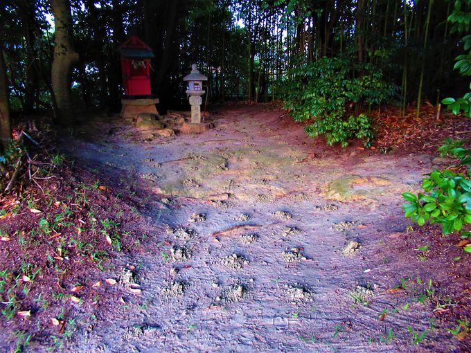 亀畑にある佐紀神社の砂モチ