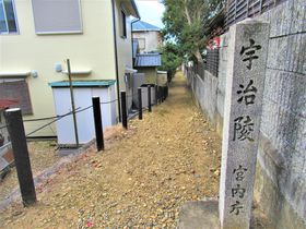 �����◊�ʂ�����!?�������̕揊�ł����鋞�s�{�u�F���ˁv�̋L���T���l�C��