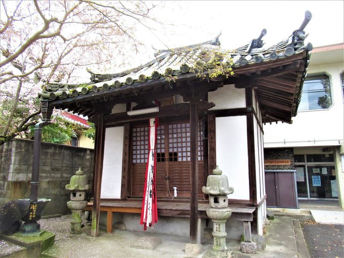 qǂ镽