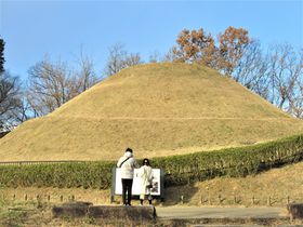 ɋԉ˕!?ޗǌ́uȂ郉Cv̋LTlC