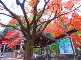 ggt݂h́Iޗǌsu\_Ёvōgt̋LTlC