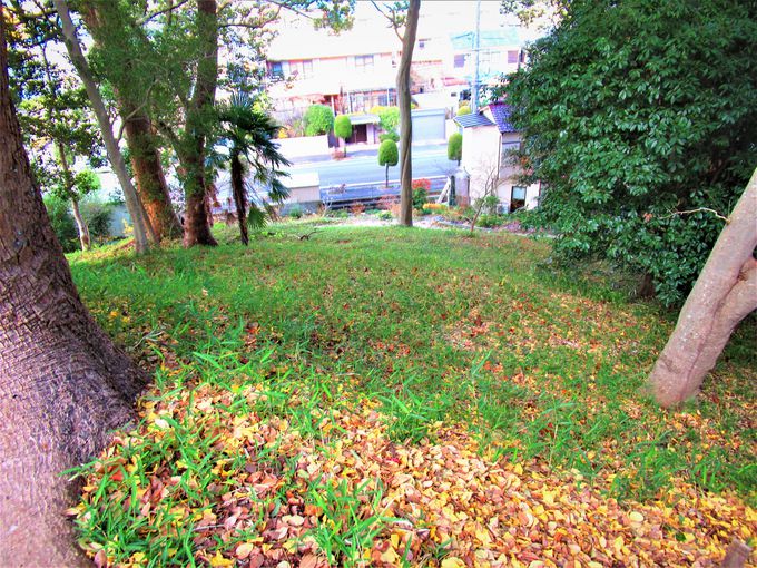 ��~���̗l�q