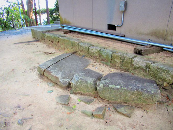 �I�o����G�����ΘP�̈ꕔ