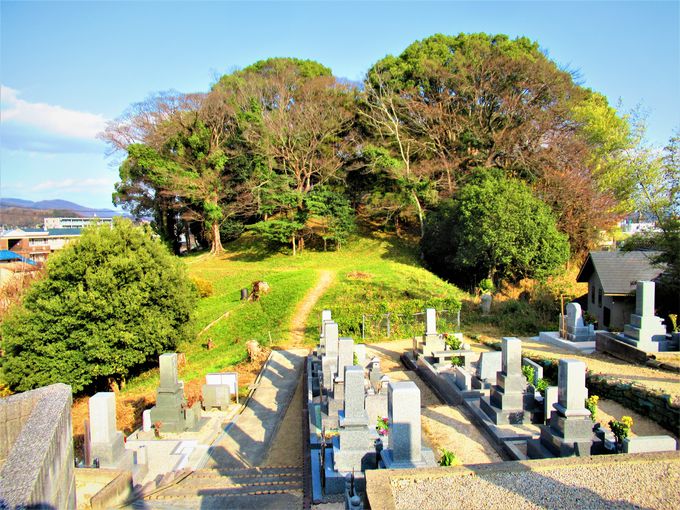 ��n�����Ă���O����