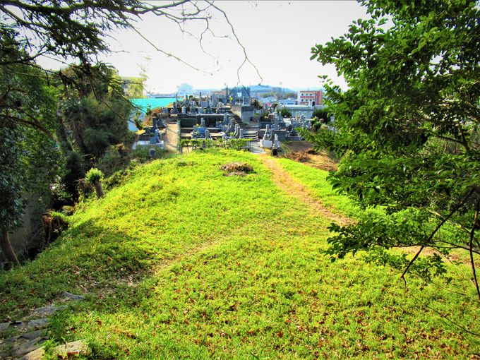 ��n�����Ă���O����