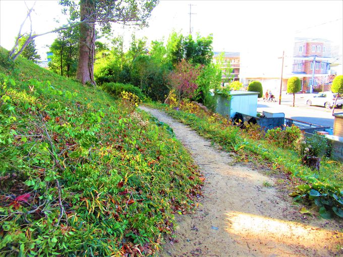 ���̎j�ՂƂȂ��Ă���u�_�{���R�Õ��v