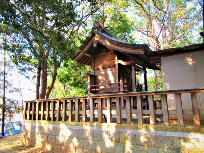 �I�o����G�����ΘP�̈ꕔ