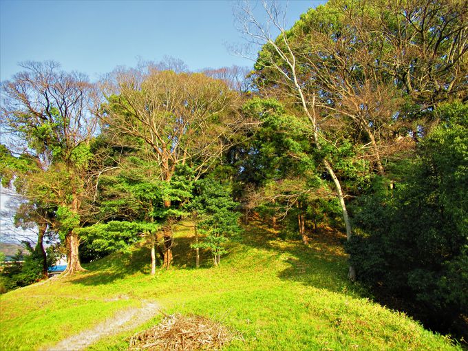 ��~���̗l�q