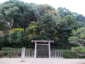 O~Ȃ̂ɕHǂ!?ޗǌuRÕv̋LTlC