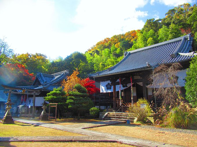 V܂ĂR蒬́uωiR萹Vjv