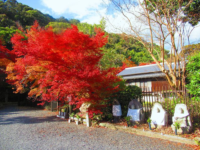 ���ԏ�t�߂̍g�t