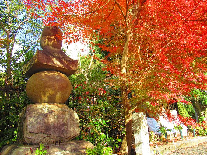 ���ԏ�t�߂̍g�t