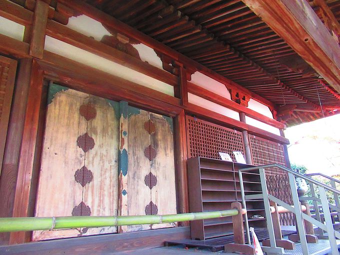 �������R�Ƃ䂩��́u�P�@�����v