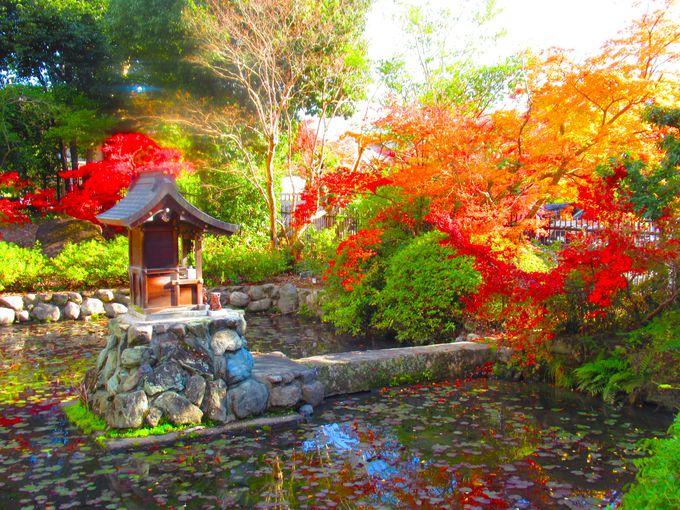 �F�����₩�ȋ����̍g�t