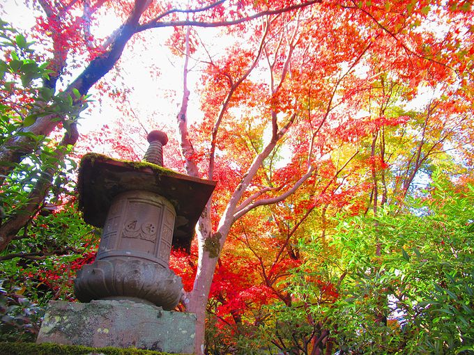 ���ԏ�t�߂̍g�t