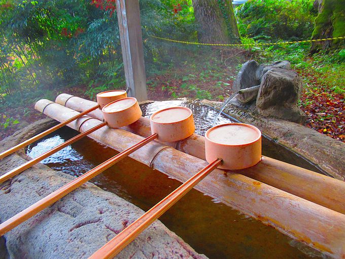 ���˔\��i���W�E����j�������萅��