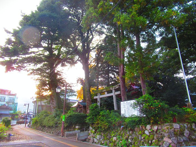 ���؂�����������Бp