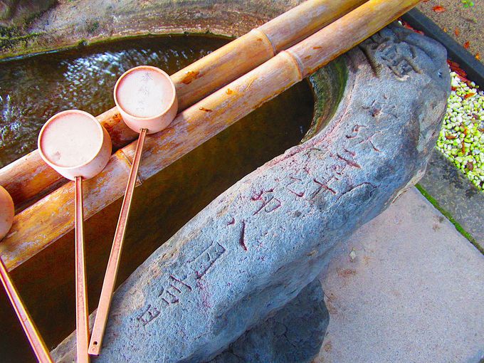 ���˔\��i���W�E����j�������萅��