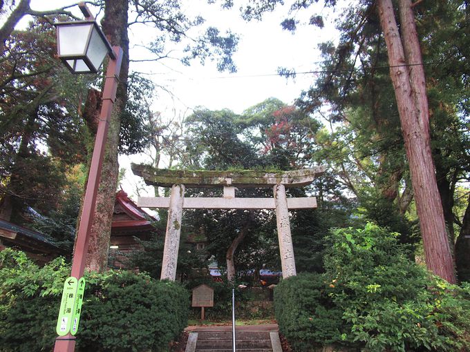 �O�����̑�����I�ȑ��݂ł���u�O���_�Ёv