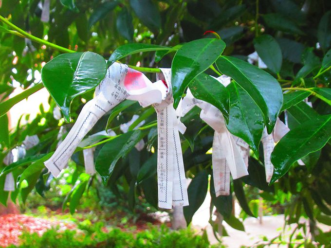 �݂�������ό���g�u�O���̘@�v�̊G�n