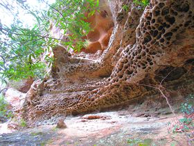 �܂�������ρI�s�C���Șa�̎R�����l���u�ۘC�̒����v�̋L���T���l�C��