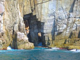 �V���D��GO�I���Ɉ��|����镟�䌧�u�h����߂���v�̋L���T���l�C��