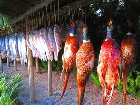 賂��A���܂ŋ�����!?�ޗǁE�t����{����Ձu��h���Ձv�̋L���T���l�C��