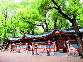 大阪有数の環濠都市「平野郷」で中世自治都市の魅力を堪能