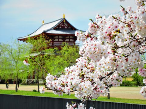 �؂₩�ȓV������Ƃ̋����I�ޗǂ̐��E��Y�u����{�Ձv�̍��̋L���T���l�C��