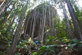 ̏̎RցIFÓɐH̔nzuVqRvɓo낤̋LTlC