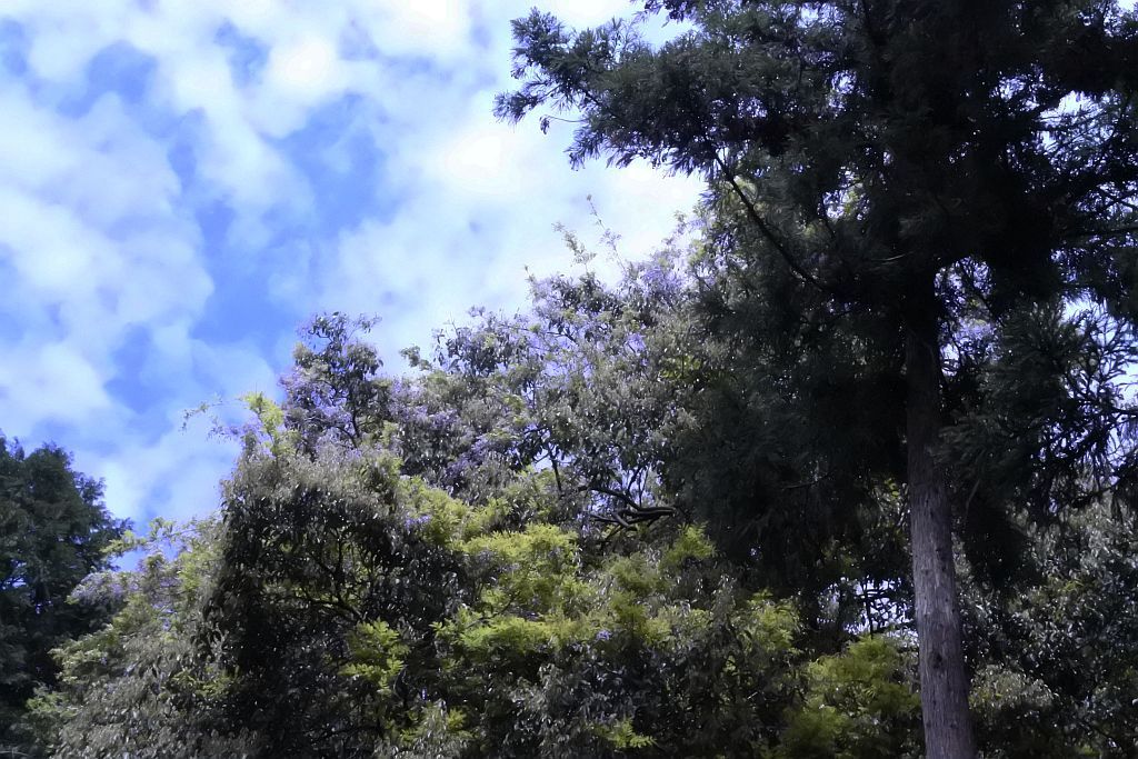 uṽtWvϏ܂́Aグ̂ł͂Ȃ낷