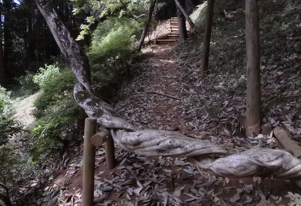 uṽtWvϏ܂́Aグ̂ł͂Ȃ낷