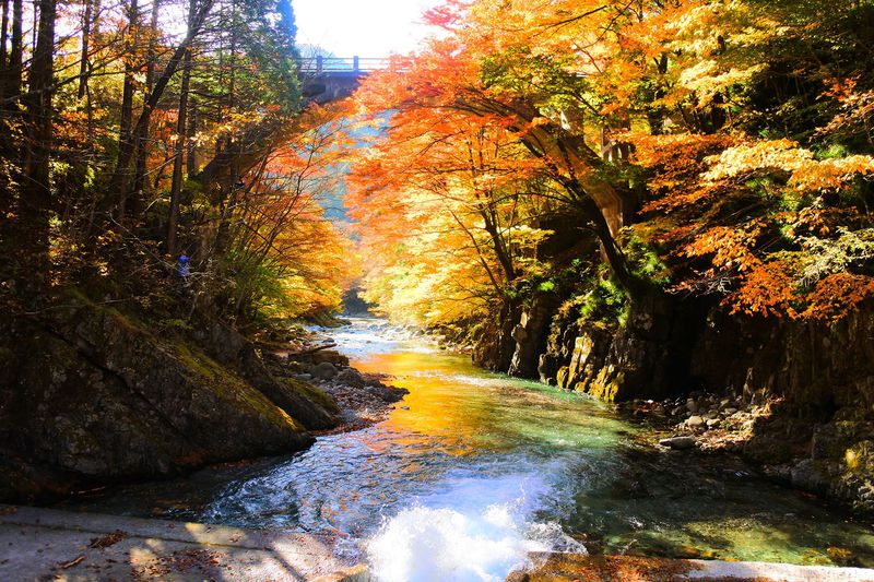 誰かに自慢したくなる！栃木「大芦渓谷」は穴場の紅葉スポット