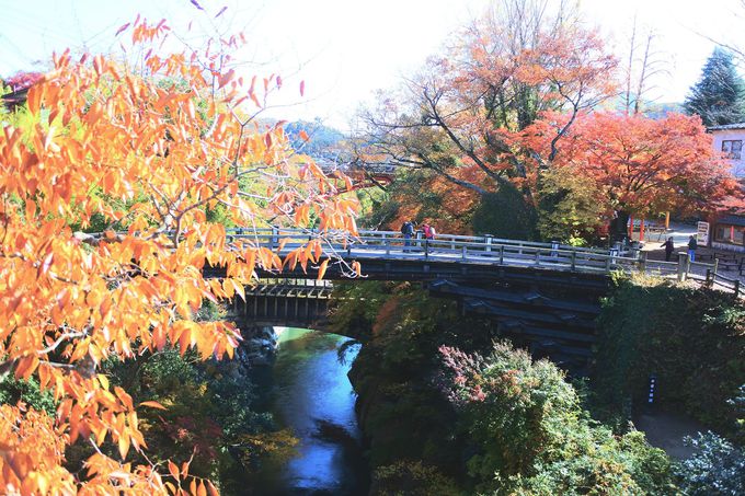 奇橋というより美橋 山梨 甲斐の猿橋 の紅葉との調和が格別 山梨県 Lineトラベルjp 旅行ガイド