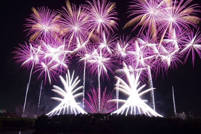 花火が描くスカイミュージカルは必見 千葉 流山花火大会 千葉県 トラベルjp 旅行ガイド