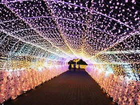 2019年もパワーアップ！「東京メガイルミ」で光の時空旅行へ