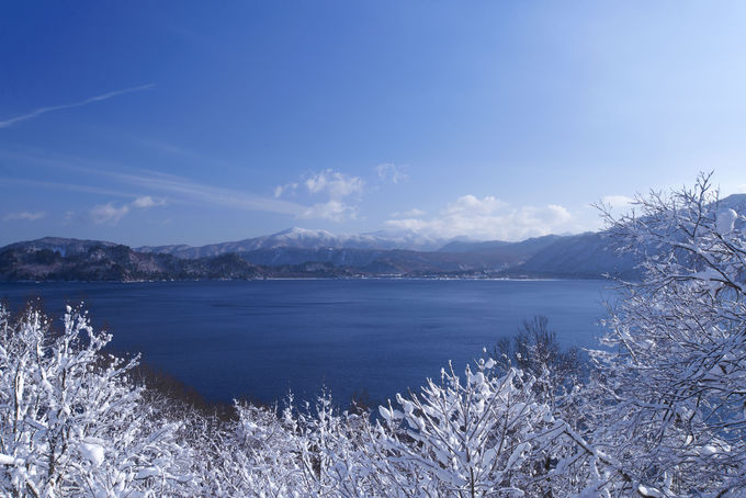 雪と笑顔がイルミに染まる 十和田湖冬物語 は雪遊びに花火も 青森県 Lineトラベルjp 旅行ガイド