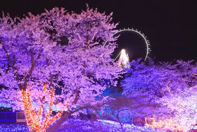 ݌΃vW[tHXguC~Iv͊̌zԁI̋LTlC