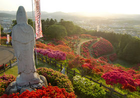 �R���J���t���ɉԉ��ρI���u�}�Ԃ������v��GW�������̋L���T���l�C��