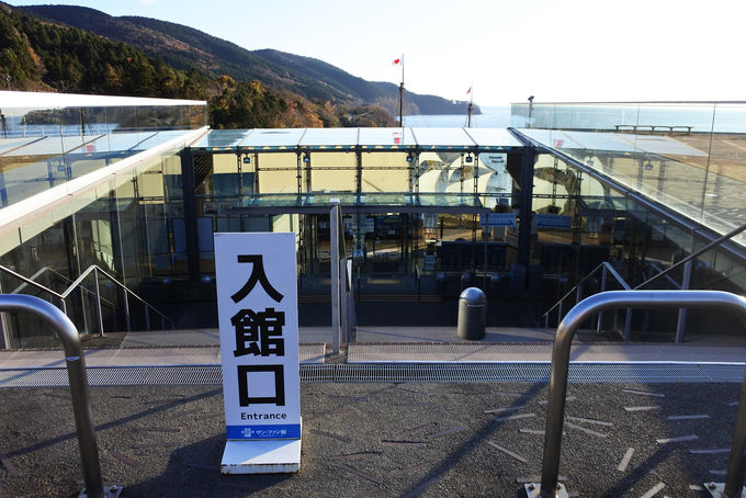 cgߑD̕DuTEt@EoEeBX^v