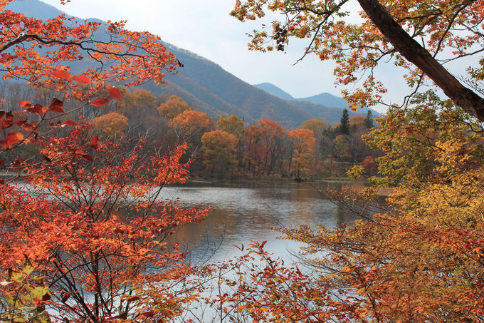 南会津の秋の絶景！大内宿・塔のへつり・観音沼で紅葉狩り