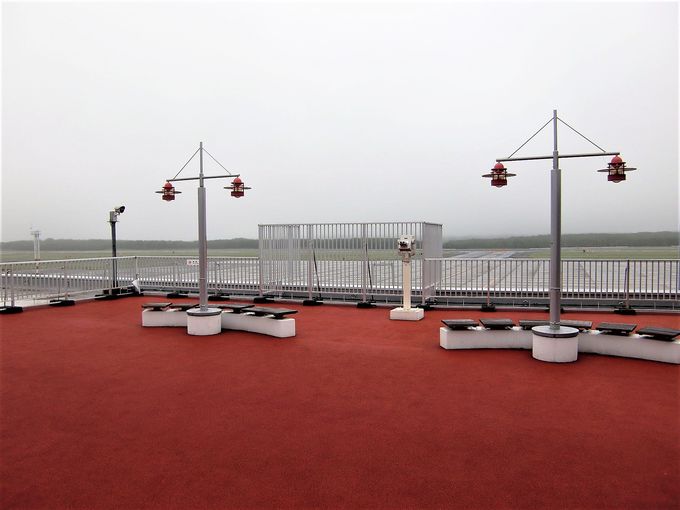 w₷}fbLIu񂿂傤H`v̊Tv