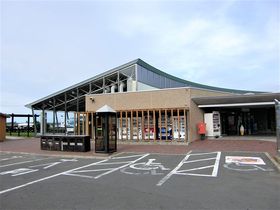 kCẺwuX44˂ނv͖쒹EYiI̋LTlC