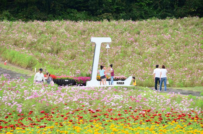 ̏炻IW]䂩璭߂悤I