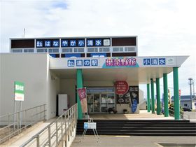 kCẺwu͂Ȃ₩vJRw݁IXEO[̋LTlC